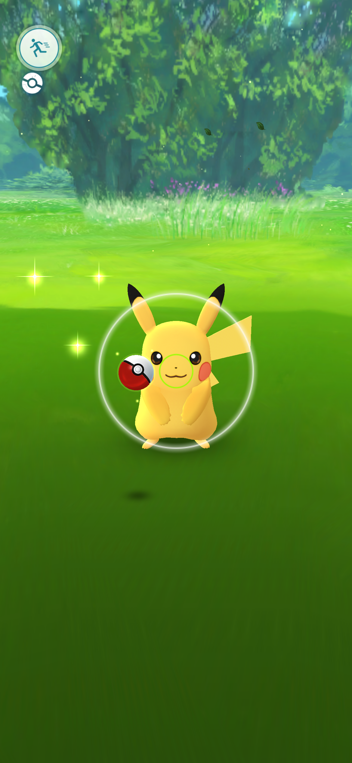 Pikachu encounter in a grassy field from the Windstock game